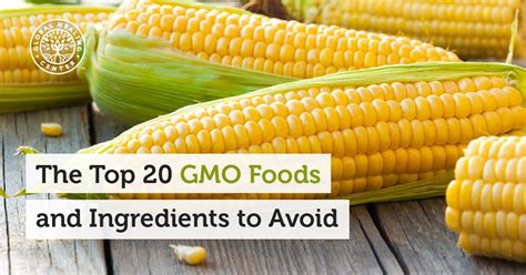 Top 20 GMO Foods and Ingredients to Avoid