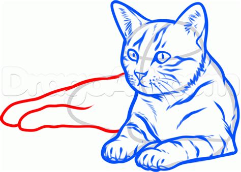 Realistic Cat Laying Down Drawing - Punchkick Wallpaper