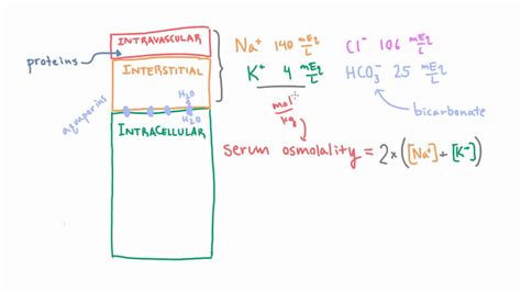 25+ Serum Osmolality Calculator - SukhjitHafsa