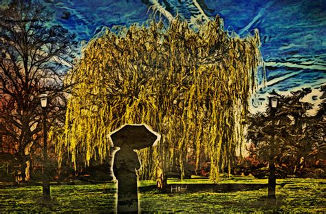 Weeping willow Tree by Taeppesh81 on DeviantArt