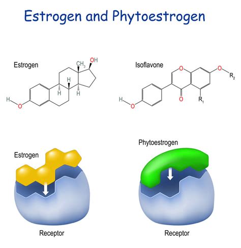 Soy Myths versus Facts: Is Soy Healthy or not? - SHAPEYourFutureLife