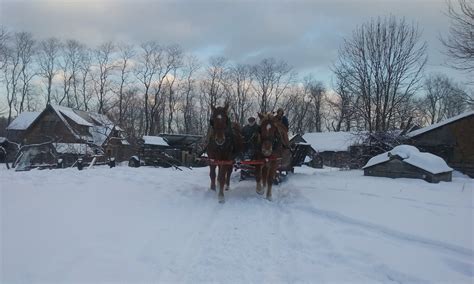 Sleigh Rides