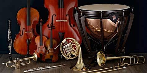 Instruments of the Orchestra | Gear4music