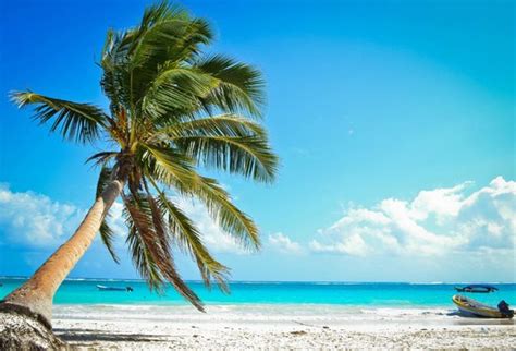 Beaching it with the Locals - Review of Playa Paraiso, Tulum, Mexico - Tripadvisor