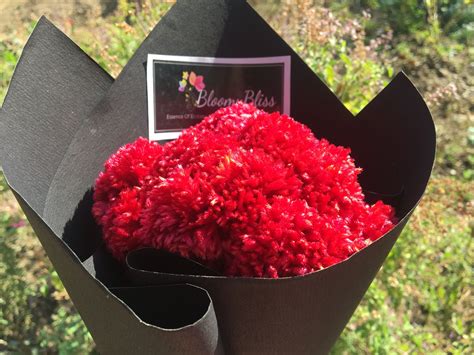 Red Cockscomb Flower Bouquet - BloomyBliss Online