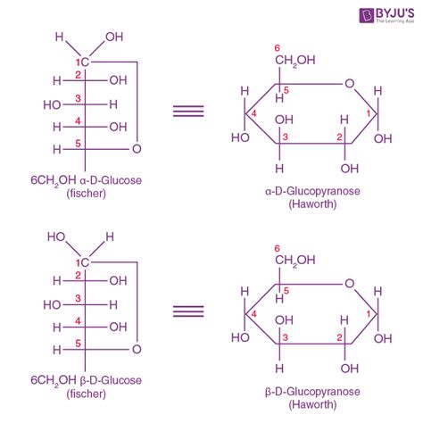 Details 65+ alpha glucose ring structure - vova.edu.vn