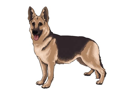 Free Drawing Of A Dog, Download Free Drawing Of A Dog png images, Free ClipArts on Clipart Library