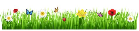 Spring Grass Png Clipart Cartoon