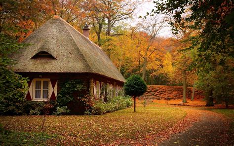 cabin, Forest, Nature Wallpapers HD / Desktop and Mobile Backgrounds