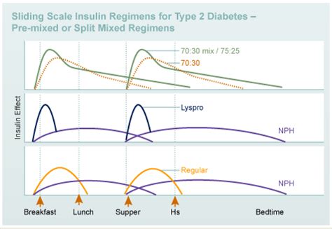 Designing An Insulin Regimen - Diabetes Education Online