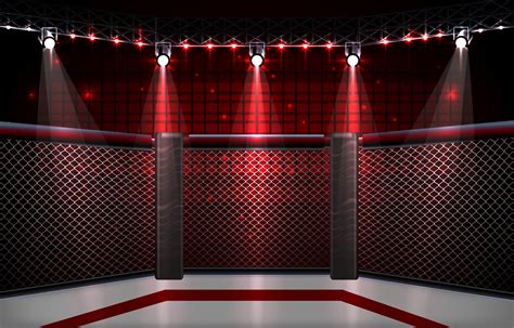 MMA Arena Stage Background 7395436 Vector Art at Vecteezy