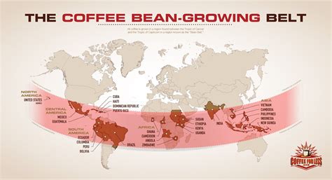 The coffee bean-growing belt - Vivid Maps | Coffee beans, Types of coffee beans, Coffee blog