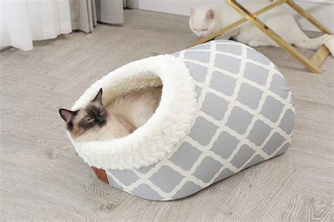 The 20 best pet beds for your dog or cat to rest comfortably