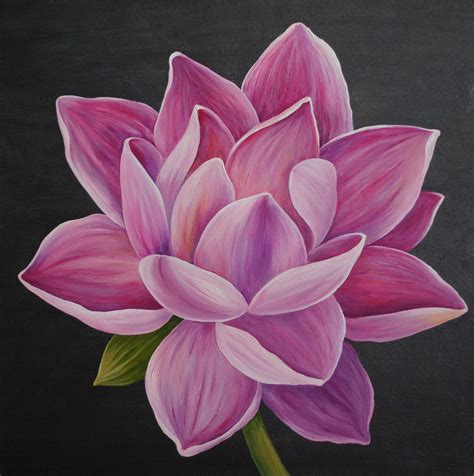 Lotus Flower Art Images | Best Flower Site