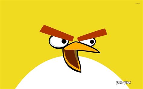 Chuck from Angry Birds wallpaper - Cartoon wallpapers - #52372