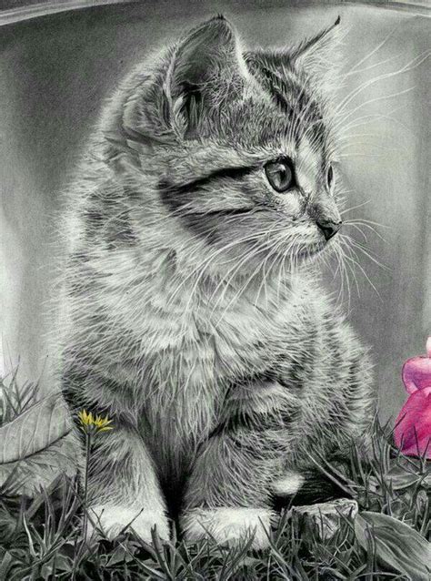 Drawings Animals Realistic Easy - akpinartolga