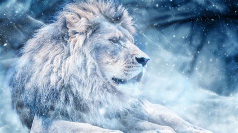 Blue Lion Wallpapers - Wallpaper Cave