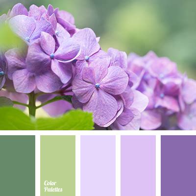 purple color | Page 14 of 22 | Color Palette Ideas