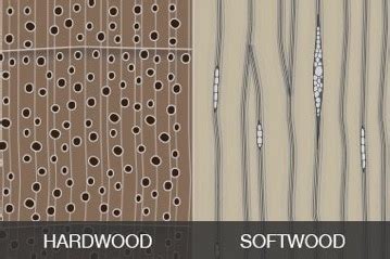 Hardwood-vs-Softwood-Furniture - La-Z-Boy Southeast