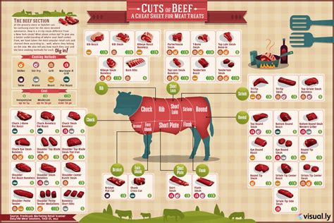 Cuts of Beef Chart | The BBQ Butcher