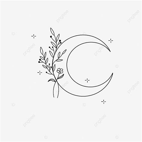 Aesthetic Line Art PNG Transparent, Line Art Aesthetic Moon And Leaves, Leaves Drawing, Moon ...