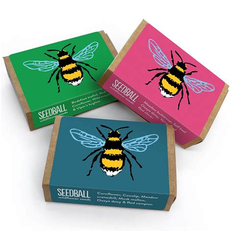 Seedball Bee Boxes - Pack of 3 - Seedball