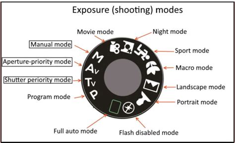 The Best Camera Settings for Indoor Photography