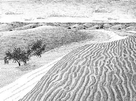 Sand Dunes Drawing at PaintingValley.com | Explore collection of Sand Dunes Drawing