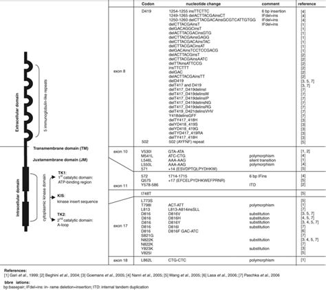 The c-KIT receptor—structure and reported mutations. The human c-KIT ...