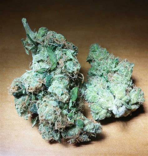 Sour Diesel Strain Information & Reviews | Where's Weed