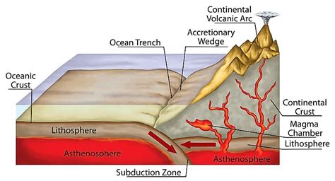 How Do Ocean Trenches Form? - WorldAtlas