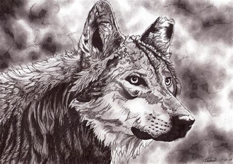 Wolf Smoke 2009 by lupinemagic on DeviantArt