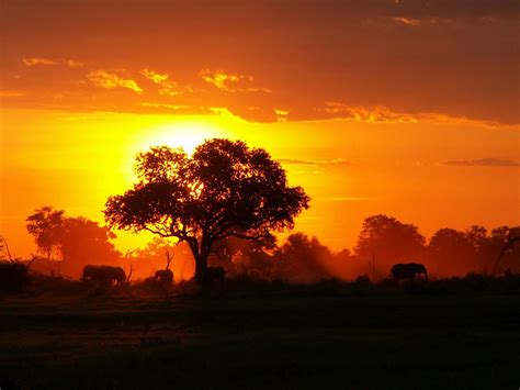 Cameroon ( Cameroun ). A voyage to Cameroon, Africa - Douala, Yaoundé ...