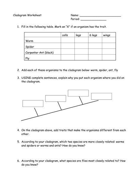 Cladogram Worksheet Answers Key Biology | TUTORE.ORG - Master of Documents