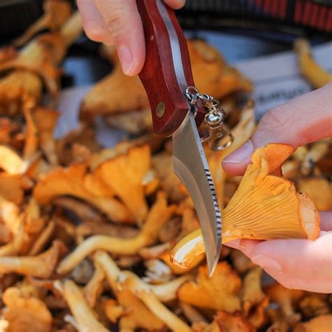 Mushroom Knife - Folding mushroom knife and brush | SmartaSaker