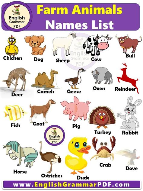 Farm Animals Names List with Pictures, Definition and Examples | Animals name list, Farm animals ...