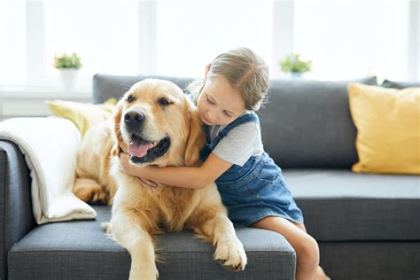 Here are the best pets for kids according to a vet - Moshi