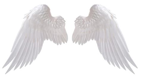 Angel Wings | Wings png, Angel wings pictures, Angel wings png