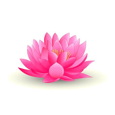 illustration of pink lotus flower isolated on white background 2841692 Vector Art at Vecteezy