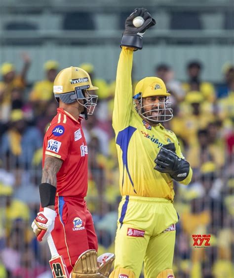 Chennai : CSK captain MS Dhoni appeals unsuccessfully for a wicket #Gallery - Social News XYZ