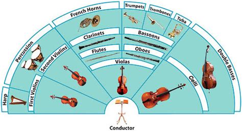 Layout of the Orchestra - Instruments in the Orchestra