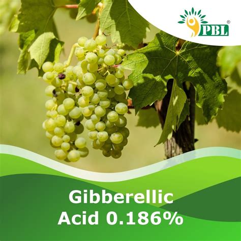 Gibberellic Acid 0.186% | B2B Manufacturer & Exporter - Peptech Bio