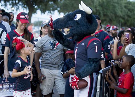 How Houston Texans' Toro won award for NFL mascot strunt of the year