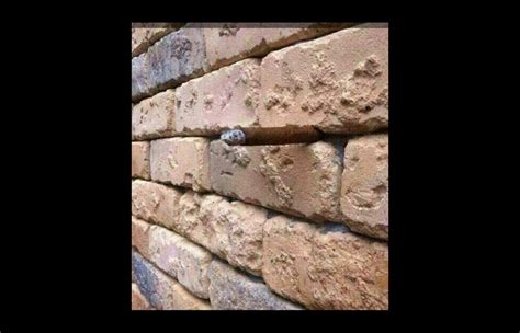 Brick Wall Illusion