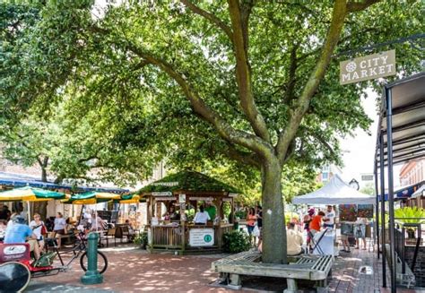 25 Best Things to Do in Savannah (Georgia) in 2023 - The Crazy Tourist