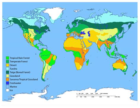 World Biome Map Coloring Worksheet - Abhayjere.com