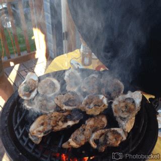 oysters | Tag | PrimoGIF