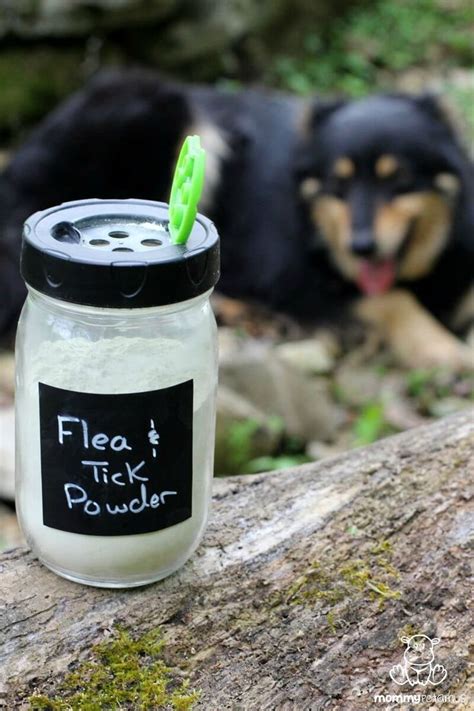 Natural Flea And Tick Powder Recipe For Dogs | Dog flea remedies, Flea and tick, Flea and tick spray