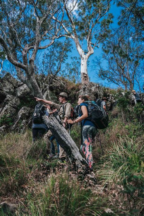 Hiking the Scenic Rim Trail in Queensland, Australia | Drink Tea & Travel