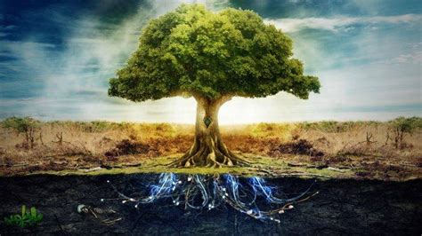 anime, Technology, Peace, Photo Manipulation, Electricity, Trees, Split View, Roots, Skeleton ...